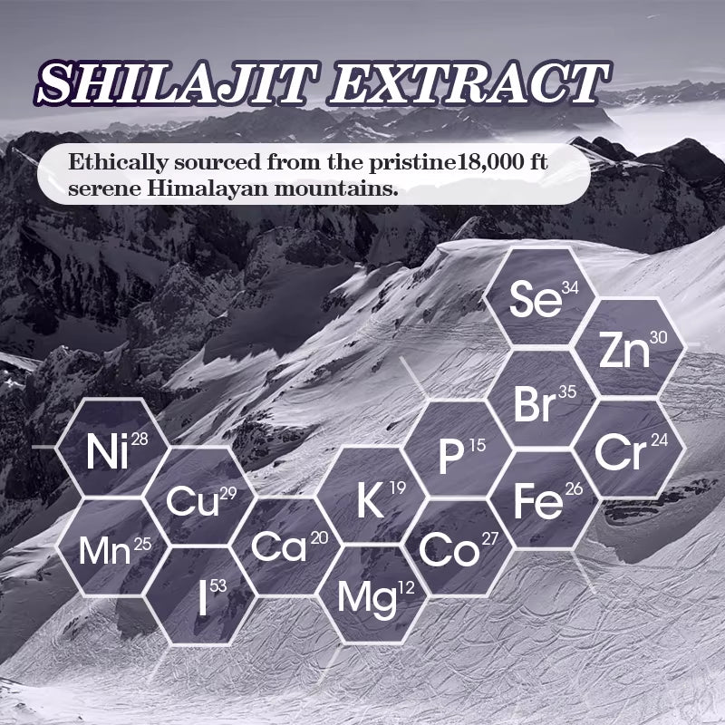 GPGP Greenpeople Shilajit Extract Capsule with 85+Trace Minerals & Fulvic Acid Himalayan Pure Original Shilajit Resein Energy